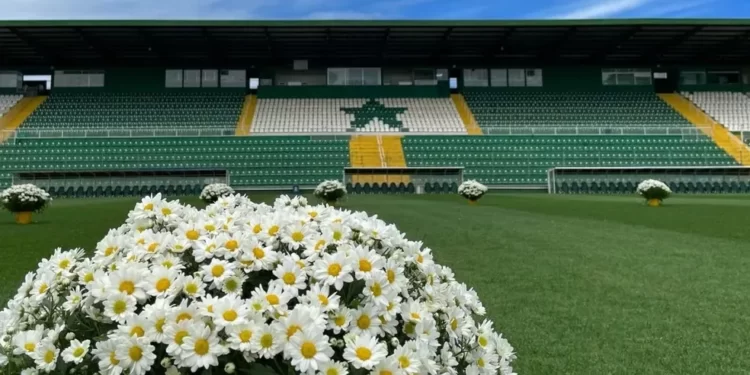 flores arena conda 1 - JORNAL DA TARDE