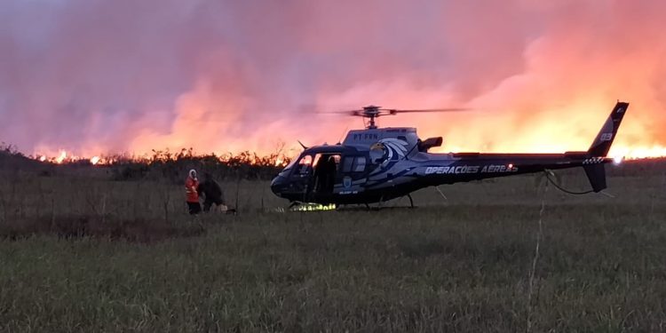 fogo pantanal 5 - JORNAL DA TARDE