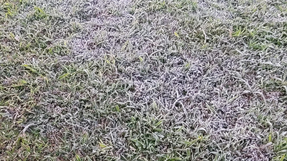 1720845630 142 Defesa Civil alerta para 150 mm de chuva temperaturas de - JORNAL DA TARDE