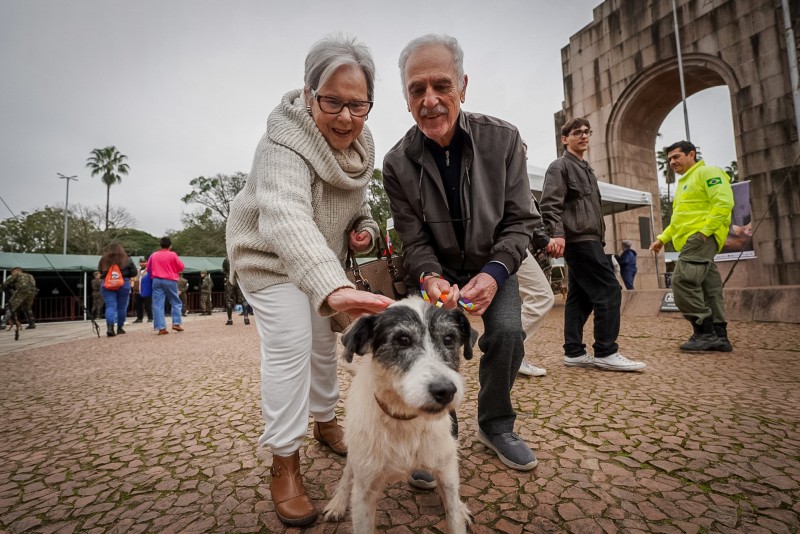 Primeiro animal a ser adotado nesta edição da feira.