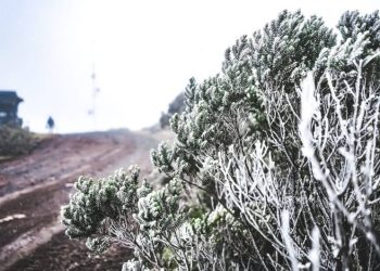 Neve pode cair nas áreas mais altas do Planalto Sul