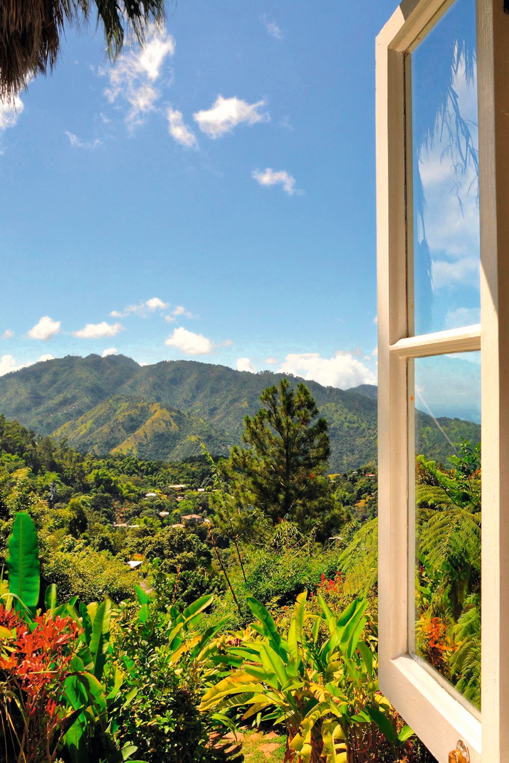 Window open overlooking lush mountains adorned with red flowers and blue skies