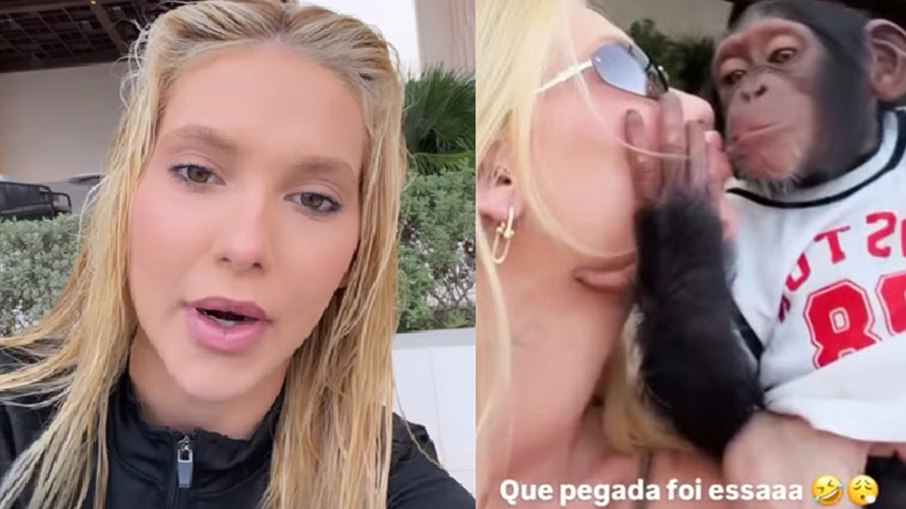 Influenciadora falou sobre o vídeo do macaco Influenciadora falou sobre o vídeo do macaco