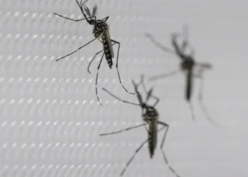 SUS suspende uso de vacina da dengue do Butantan após reações adversas