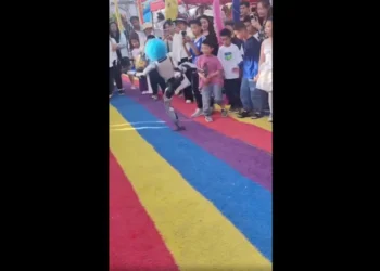 Robô chuta criança durante demonstração de artes marciais na China; vídeo
