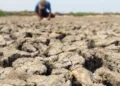 Guerra e El Niño levam economistas a projetar inflação de alimentos a 7%