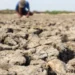 Guerra e El Niño levam economistas a projetar inflação de alimentos a 7%
