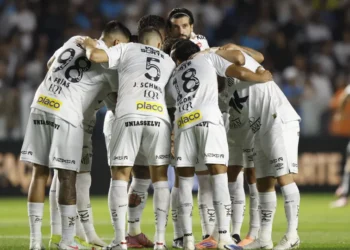 Santos usará pausa da Copa para realizar novas obras na Vila Belmiro