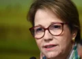 Cotada para vice de Flávio, senadora Tereza Cristina integra instituto patrocinado por empresas