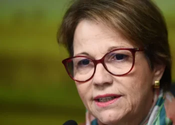 Cotada para vice de Flávio, senadora Tereza Cristina integra instituto patrocinado por empresas