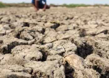 El Niño começou e ficará intenso no final do ano, aponta agência dos EUA