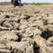 El Niño começou e ficará intenso no final do ano, aponta agência dos EUA