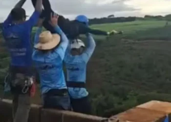 Seis pessoas são presas por morte de jovem em salto de rope jumping sem corda