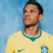 Douglas Santos diz que Brasil não pode ter