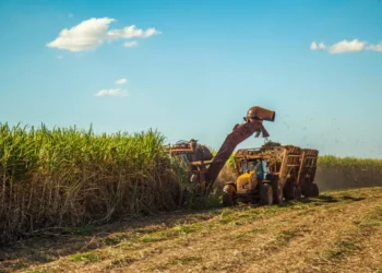 Nordeste deve liderar crescimento econômico do Brasil em 2026