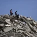 Por que não é possível prever um terremoto, como o que atingiu a Venezuela?