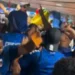 Euforia total! Cabo Verde comemora classificação na Copa do Mundo