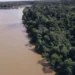 Desmatamento na Amazônia cai 61,4% em maio de 2026