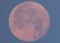 Lua de Morango poderá ser vista nesta segunda-feira; saiba como observar