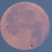 Lua de Morango poderá ser vista nesta segunda-feira; saiba como observar