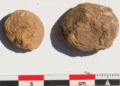 Cientistas acham batatas congeladas há 500 anos, e aparência surpreende