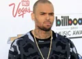 Chris Brown é condenado após ataque de cão desfigurar funcionária