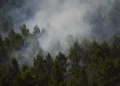 Incêndio na Espanha queima 13 mil hectares e expulsa centenas de casa