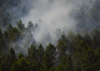 Incêndio na Espanha queima 13 mil hectares e expulsa centenas de casa