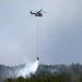 Incêndios na Espanha e França levam à retirada de mais de 160.000 pessoas