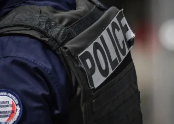 Corpos de cinco bebês são encontrados em caixas de papelão na França
