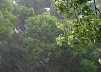 El Niño é um dos causadores do vendaval, mas não o único fator, dizem meteorologistas