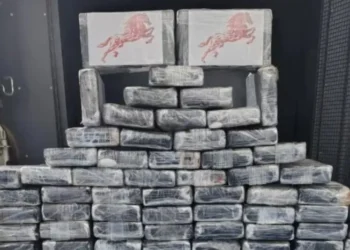 Avião com dois corpos e carga de cocaína é encontrado caído em MT