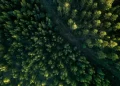 Como é o projeto, aprovado no Congresso, que reduz em 37% proteção de floresta na Amazônia