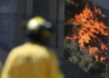 Europa enfrenta nova onda de calor, incêndios e alta nos alimentos