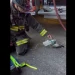 Pombo recebe oxigênio de bombeiros após inalar fumaça em incêndio; veja