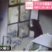 Urso invade 15 casas no Japão e até rouba donuts de geladeira