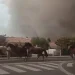 Vídeo: Cavalos são soltos para fugir de incêndio na França
