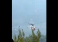 Localizadas tripulações dos dois helicópteros que colidiram na Grécia