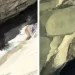 Mulher perde controle em toboágua natural e se choca contra pedras nos EUA