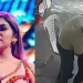 Caso de assédio em grupo musical choca o Peru; cantora registra queixa