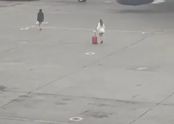 Duas mulheres invadem pista de aeroporto russo após perderem voo
