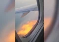 Motor de avião pega fogo no ar após choque com pássaro; vídeo