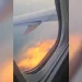 Motor de avião pega fogo no ar após choque com pássaro; vídeo
