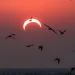 Coisas estranhas que ocorrem durante um Eclipse Solar