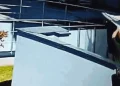 Vídeo mostra momento em que homens salvam bebê que caiu do quinto andar