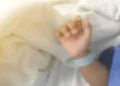 Médica-veterinária é atacada por cachorro do Senado e está em estado grave na UTI
