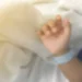 Médica-veterinária é atacada por cachorro do Senado e está em estado grave na UTI