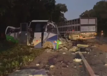 Motorista de micro-ônibus morto em acidente no Paraná era pai de 2 filhos e goleiro amador