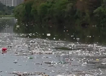 Grande volume de lixo flutuando no rio Pinheiros chama atenção após forte chuva em SP