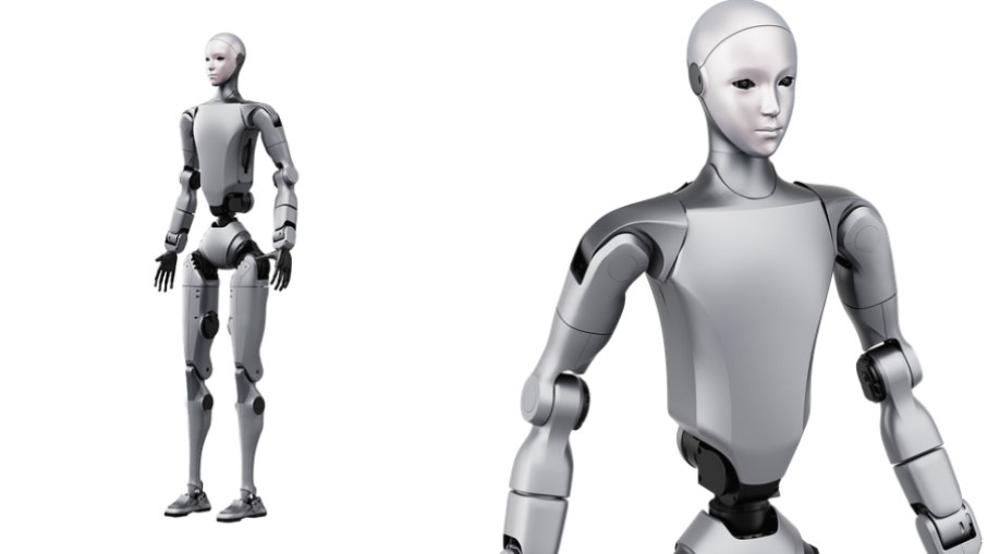 Robôs humanoides viram febre no mercado de alta tecnologia